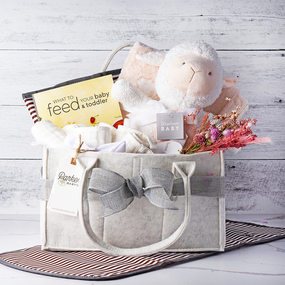 Mommy and Me Essentials Baby Basket