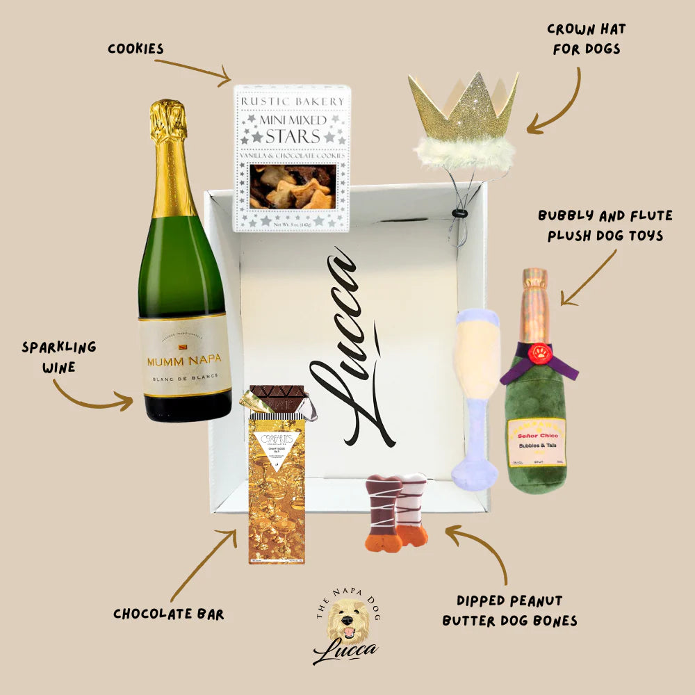 Celebration Paw-ty Buddies by Lucca Gift Box for Dog Owners