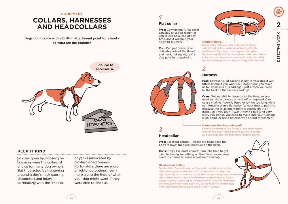 What Dogs Want: HAPPY Dog Care & Training Illustrated Guide