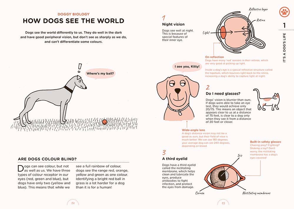 What Dogs Want: HAPPY Dog Care & Training Illustrated Guide