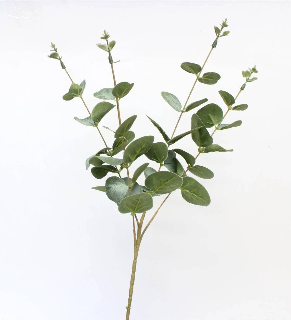 Artificial Spiral Eucalyptus Stem
