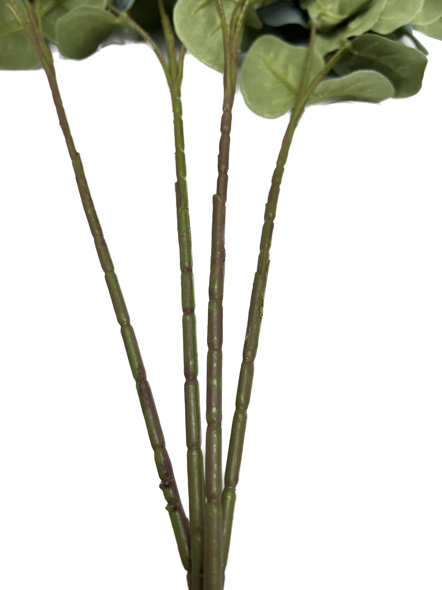 Artificial Spiral Eucalyptus Stem
