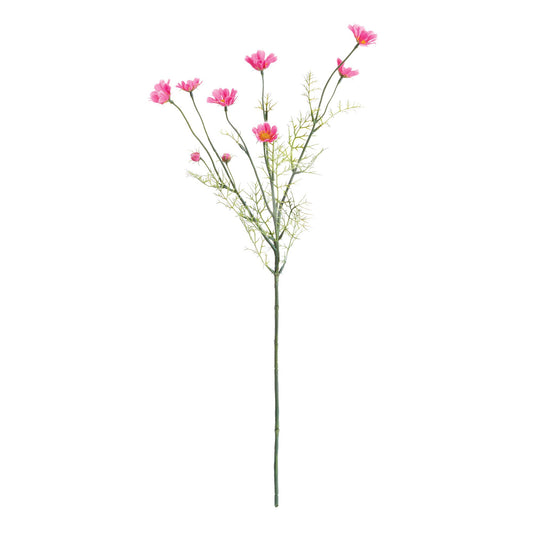 Cosmos Stem by Napa Home & Garden