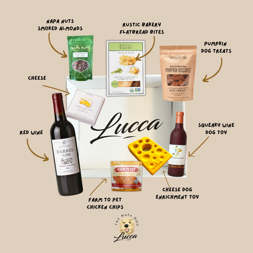 Tails and Tastings Buddies Gift Box for Dog Owners