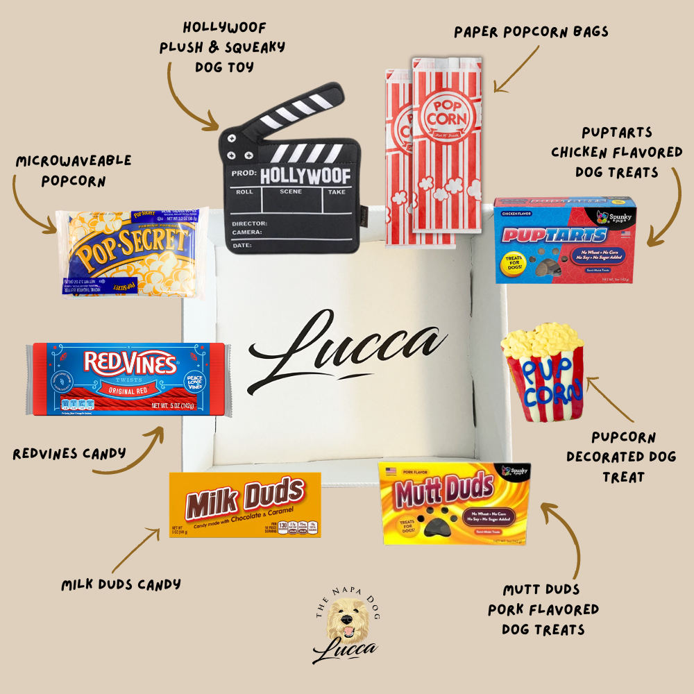 Movie Night Buddies by Lucca Gift Box for Dog Owners