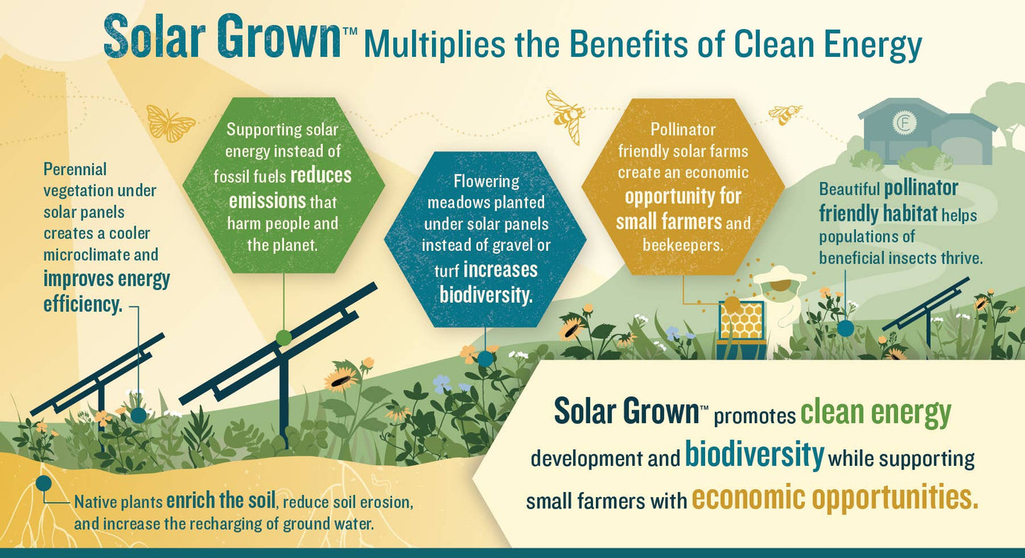 Solar Grown™ Raw Honey