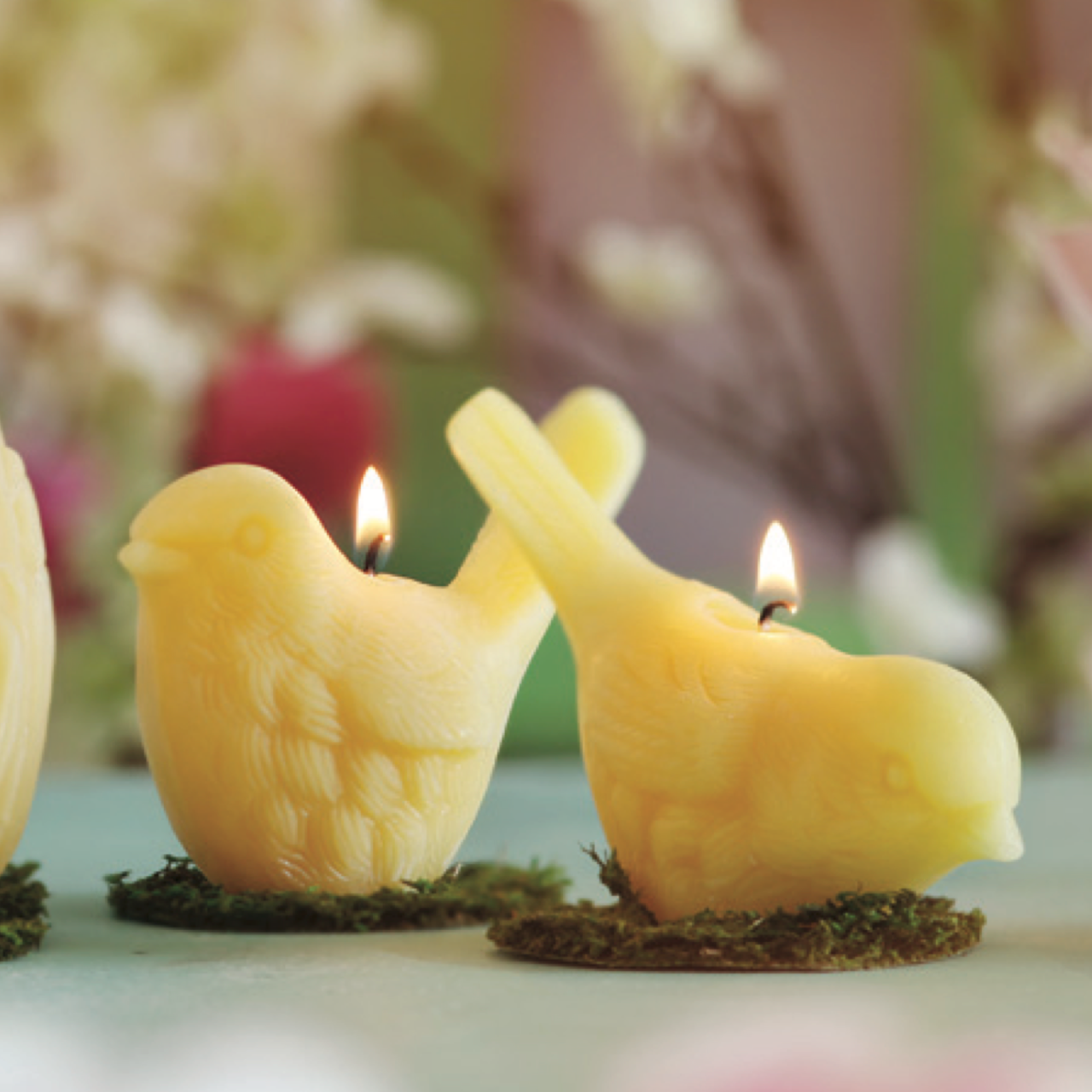 Big Dipper Wax Works Song Birds Beeswax Candles