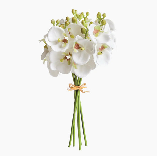 Phalaenopsis Orchid Stems 11.5" Bundle, Set Of 6