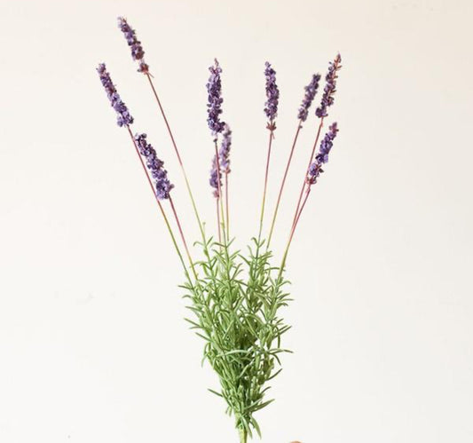 Artificial Lavender Provence Lavender Stem 21" Tall