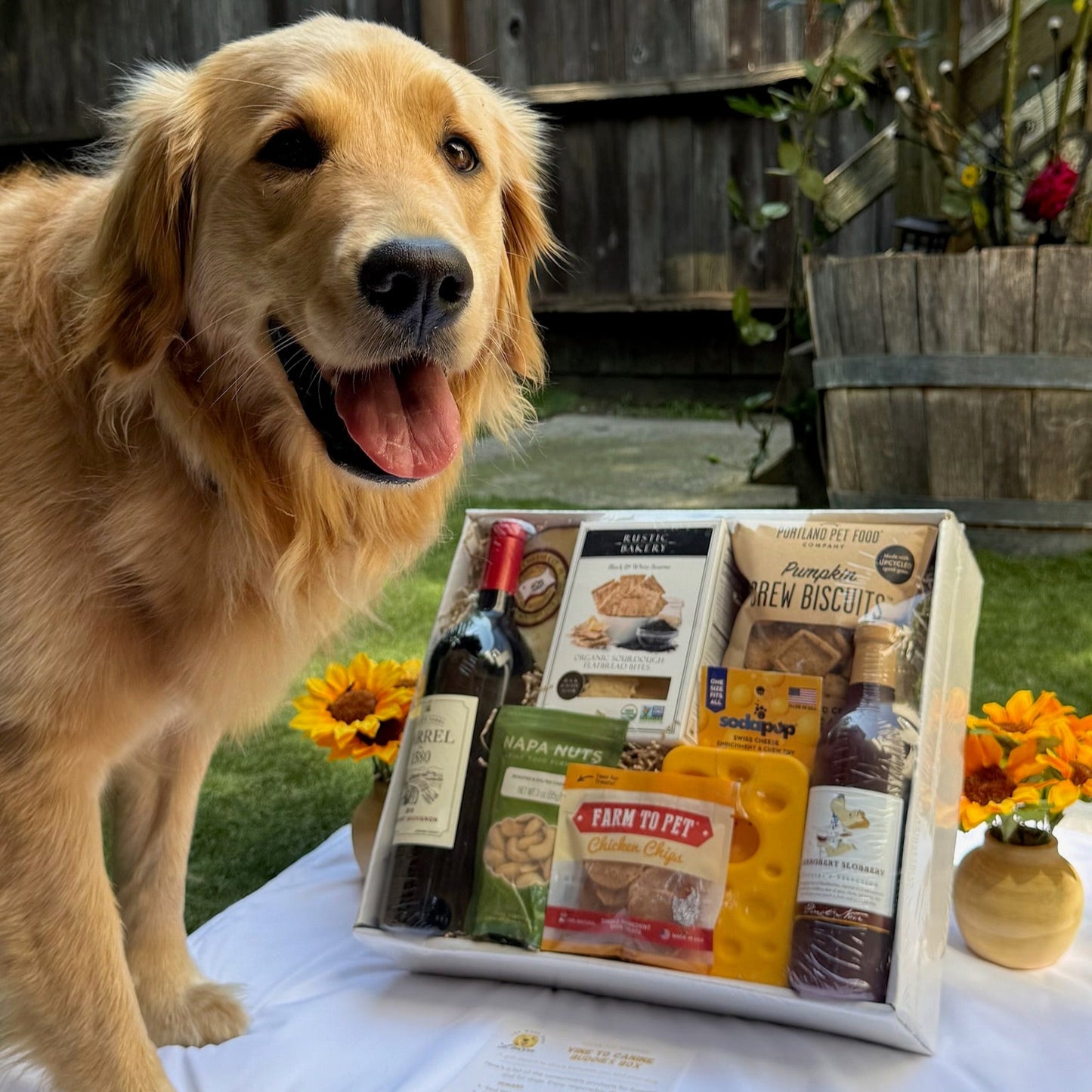 Dog standing next to a gift box with wine and snacks on a blanket outdoors.