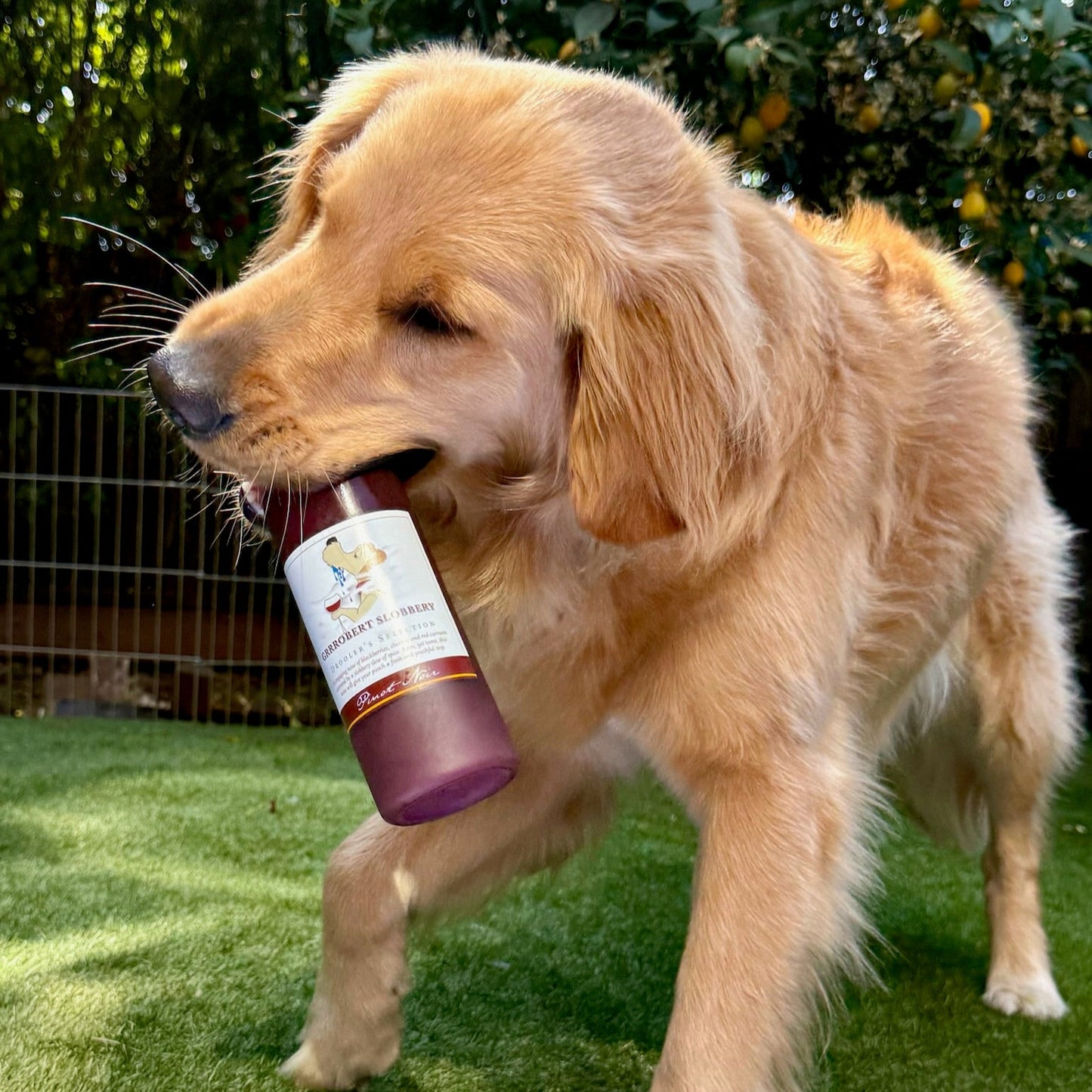 Tails and Tastings Buddies Gift Box for Dog Owners