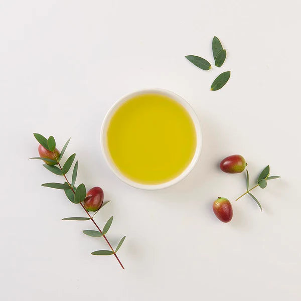 The 7 Wonders of Olive Oil by Alice Alech and Cecile Le Galliard