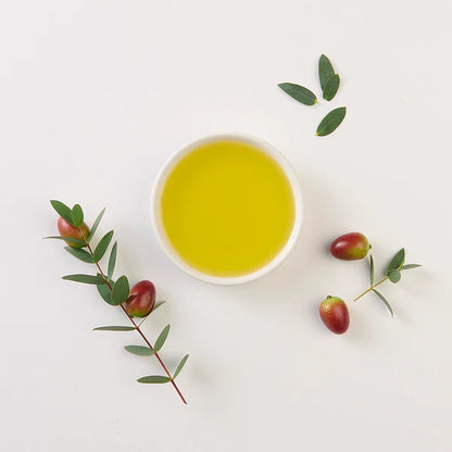 The 7 Wonders of Olive Oil by Alice Alech and Cecile Le Galliard