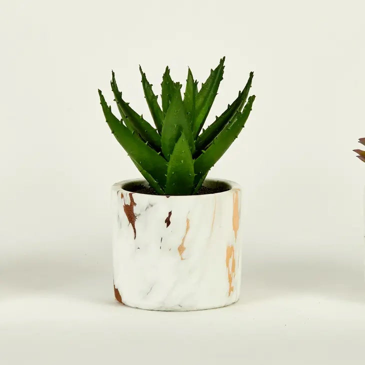 Faux Succulent in Marble Cement Pot by Worth Imports