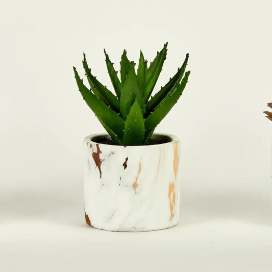 Faux Succulent in Marble Cement Pot by Worth Imports
