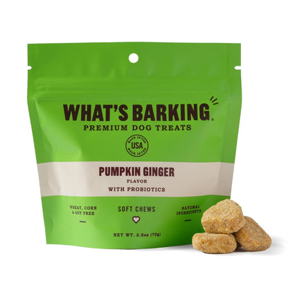 Pumpkin Ginger Dog Treats by What's Barking