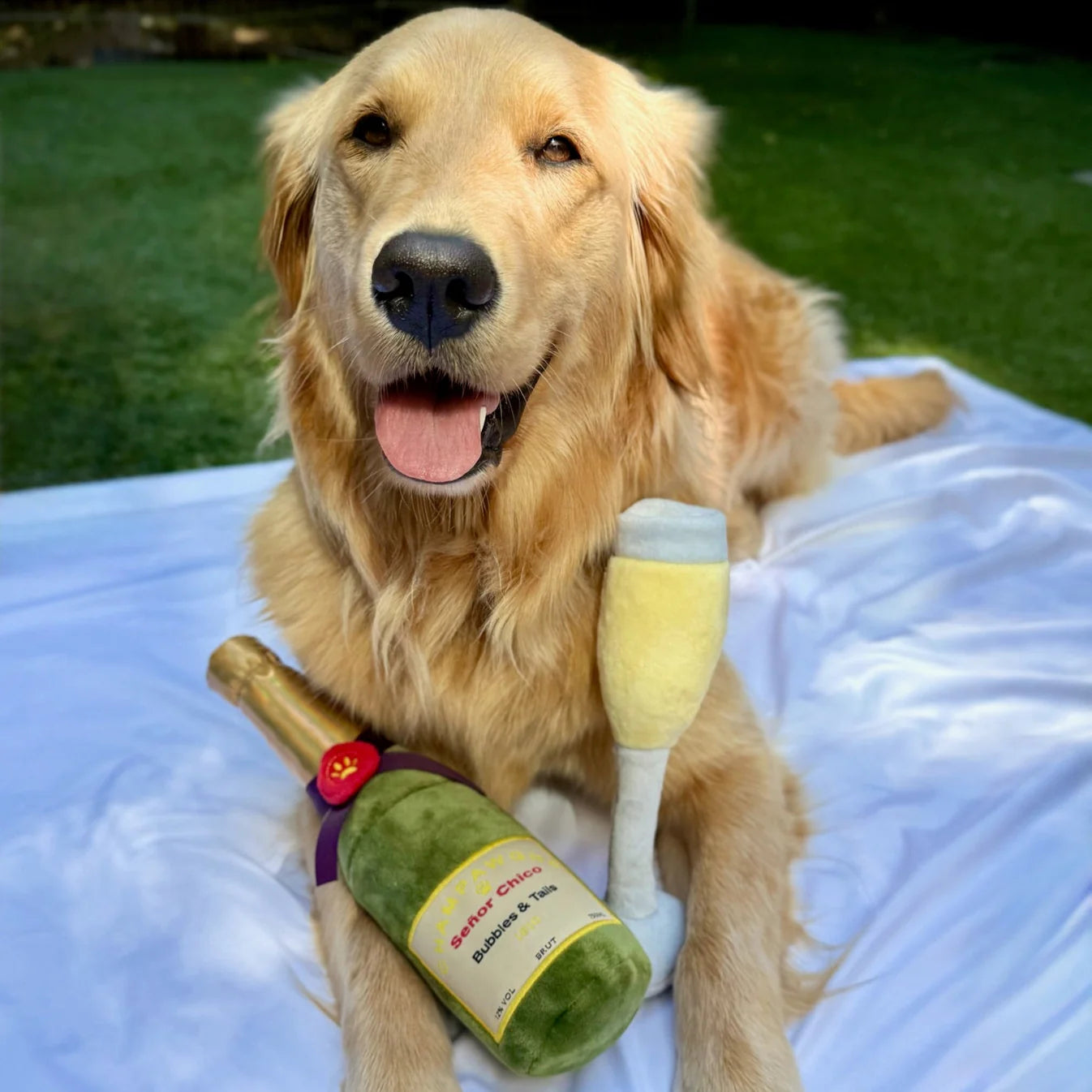 Celebration Paw-ty Buddies by Lucca Gift Box for Dog Owners