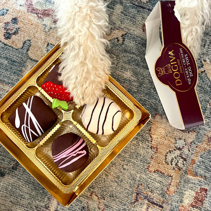 Sweet Companions Buddies by Lucca Gift Box for Dog Owners