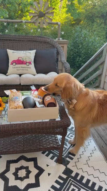 Paw-spresso Coffee Buddies Gift Box for Dog Owners