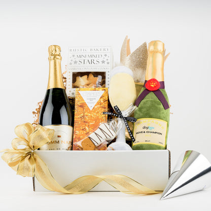 Celebration Paw-ty Buddies by Lucca Gift Box for Dog Owners